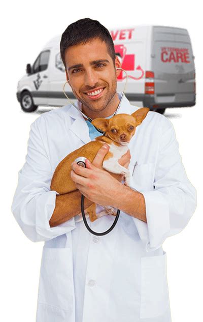 mobile vet decatur ga.